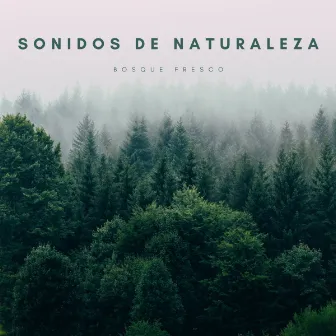 Sonidos De Naturaleza: Bosque Fresco by Masaje Tantrico Musica Colección