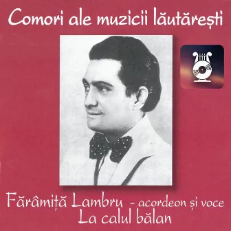 Fărâmiță Lambru - acordeon și voce by Fărâmiță Lambru