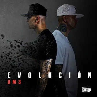 Evolución by DM3