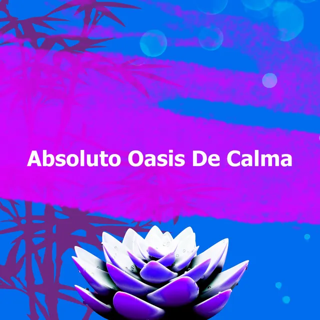 Absoluto Oasis De Calma