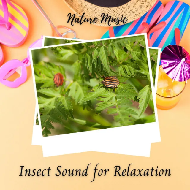 Nature Music: Insect Sound for Relaxation