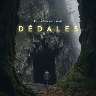 Dédales by L'Animal