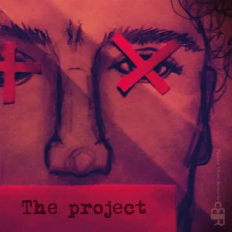 The project by AMR