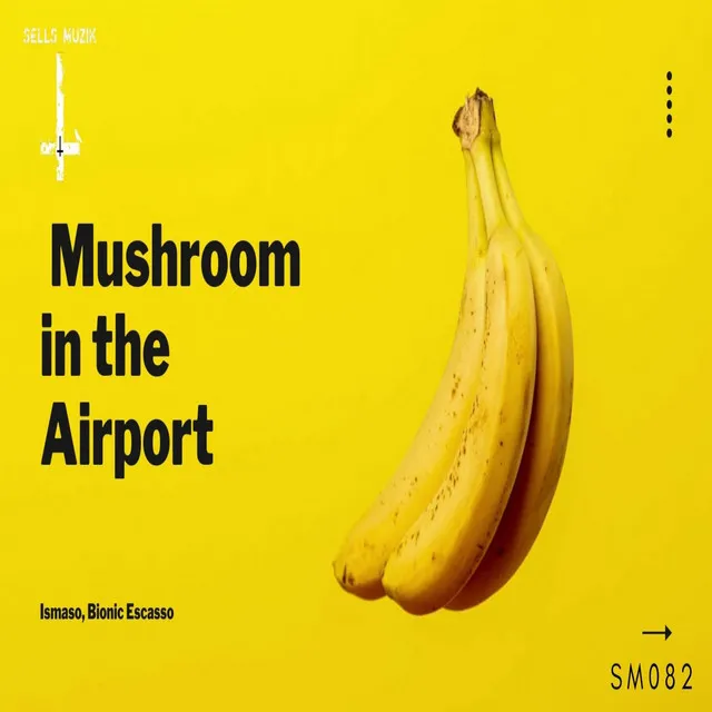 Mushroom in the Airport - Original Mix