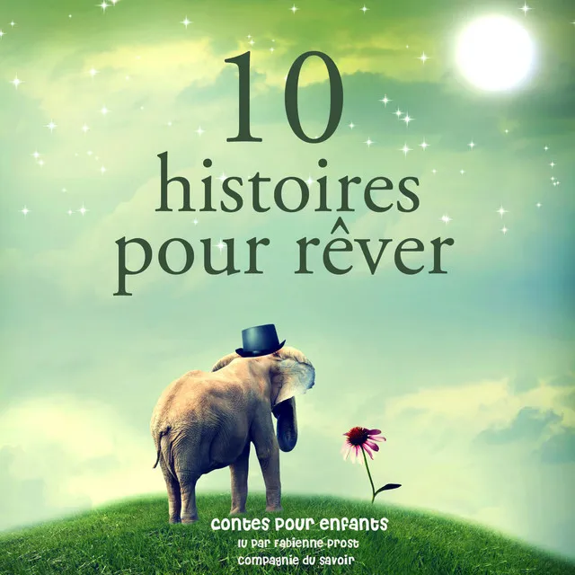 10 histoires pour rêver (Les plus beaux contes pour enfants)