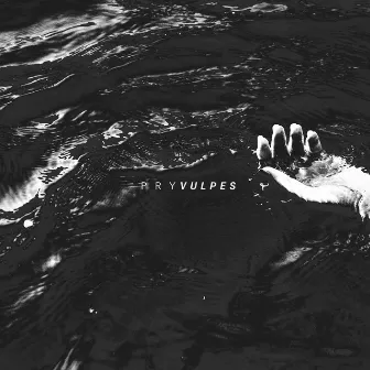 Vulpes by PRY