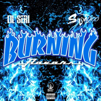 Burning Flavors by Lil Seri