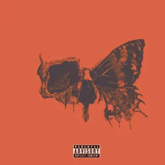 Dead Butterflies by Zion1x