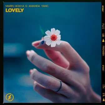 Lovely by Amanda Yang