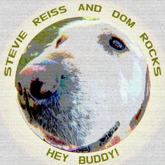 Hey Buddy! by Stevie Reiss