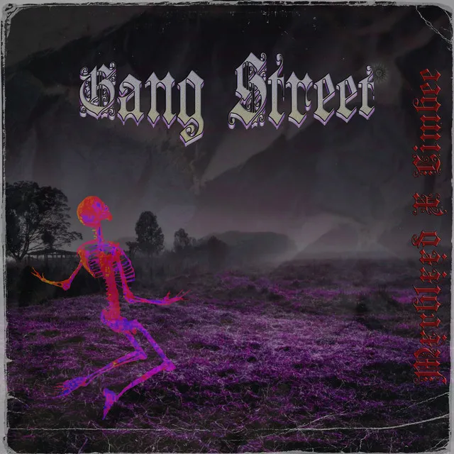 Gang Street