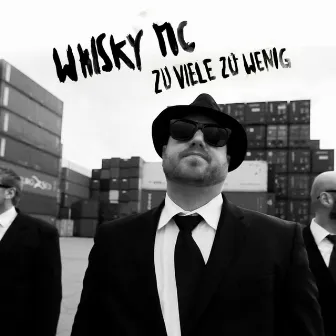 Zuviele zuwenig - Single by Whisky MC