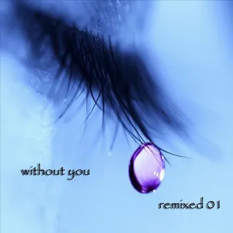 Without You: Remixed 01 by Look Brown