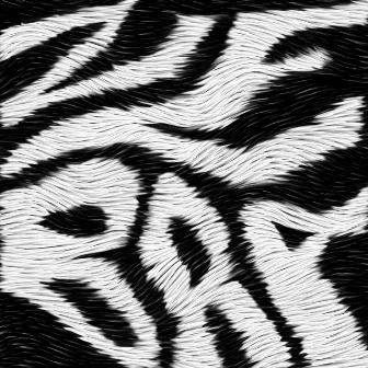 Zebra by KO KO MO