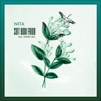 Set You Free by Nita Chawla