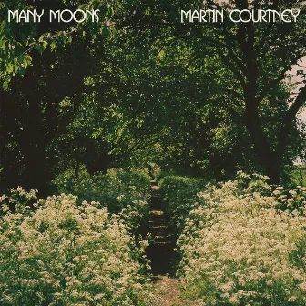 Many Moons by Martin Courtney