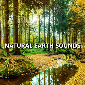 Natural Earth Sounds by Earth Sounds