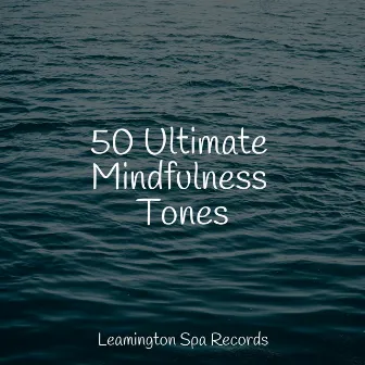 50 Ultimate Mindfulness Tones by Oceanic Yoga Pros