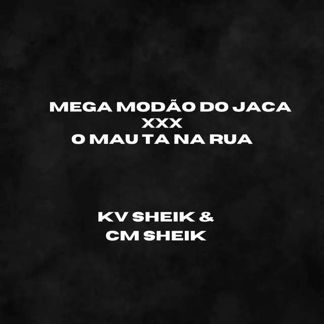 MEGA MODÃO NO JACA X 155 157