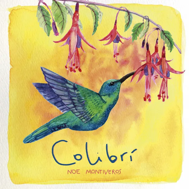 Colibri