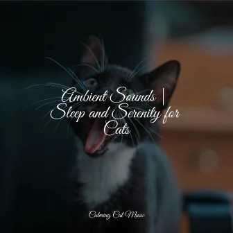 Ambient Sounds | Sleep and Serenity for Cats by Relaxmycat