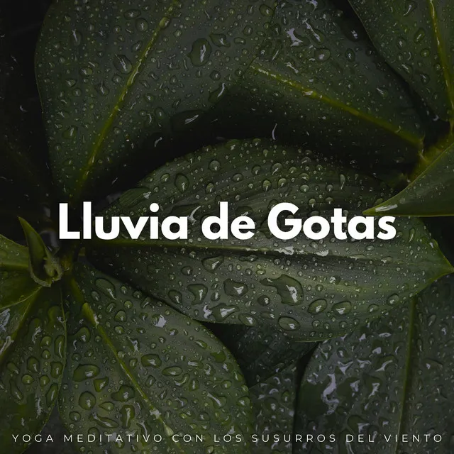 Lluvia De Gotas: Yoga Meditativo Con Los Susurros Del Viento