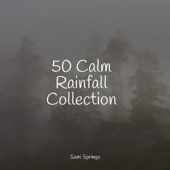 50 Calm Rainfall Collection by Soothing Chill Out for Insomnia