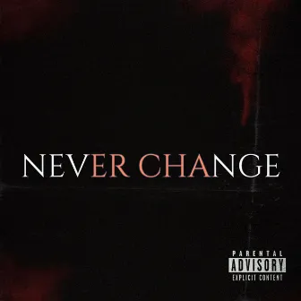 NEVER CHANGE by XnDR