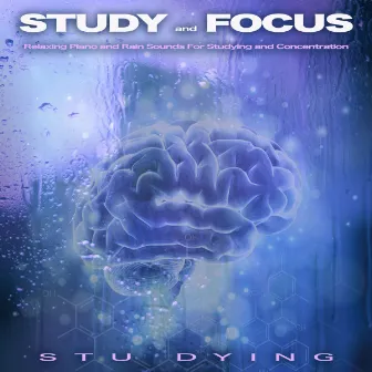 Study and Focus: Relaxing Piano and Rain Sounds For Studying and Concentration by Stu Dying