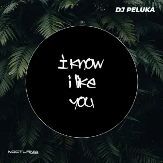 I know i like you by Dj Peluka