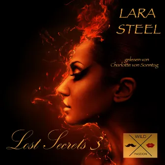 Lost Secrets, 3 (ungekürzt) by Lara Steel