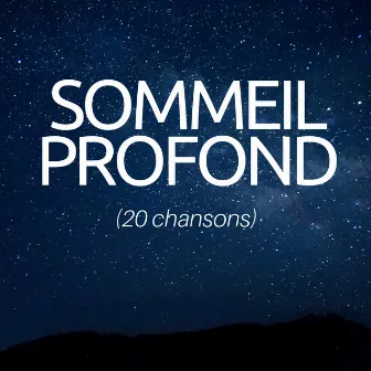 Sommeil profond (20 chansons)- Pratique de zazen, Augmentation de l'estime de soi, Méditation guidée pour le sommeil, Dimension spirituelle by Unknown Artist