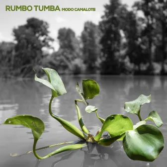 Modo Camalote by Rumbo Tumba