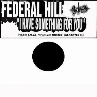 I Have Something for You (Remixes) by Federal Hill