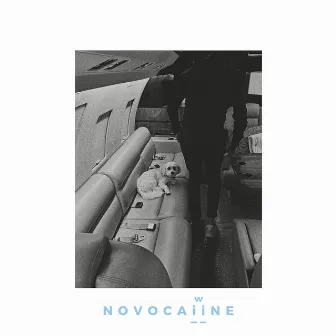 Novocaiine by Wiill