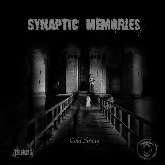 Cold Spring by Synaptic Memories