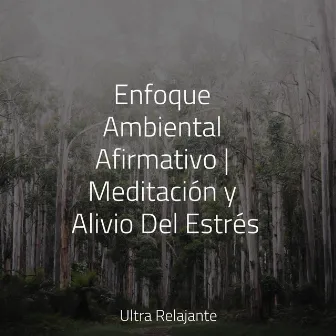 Enfoque Ambiental Afirmativo | Meditación y Alivio Del Estrés by Masaje Tantrico Musica Colección