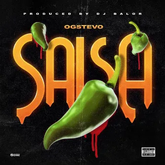 Salsa by OG Stevo