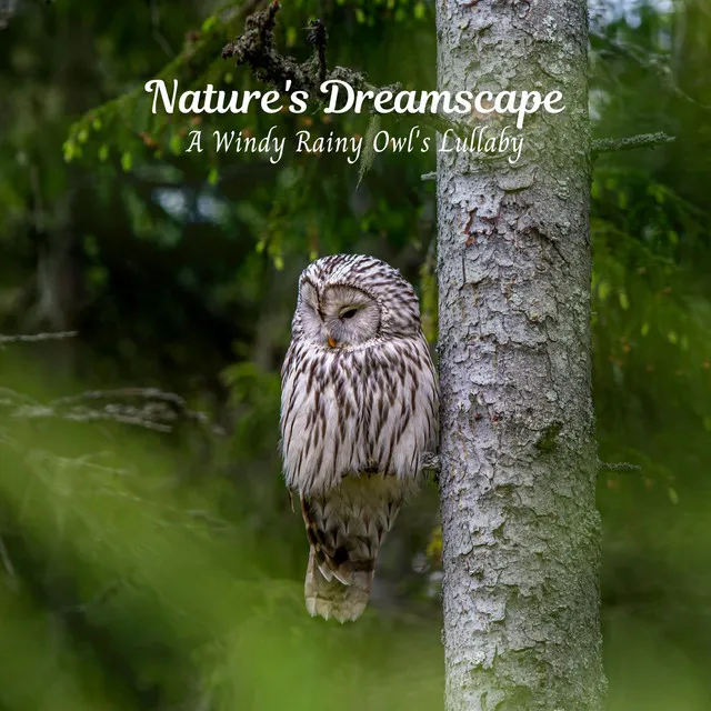 Nature's Dreamscape: A Windy Rainy Owl's Lullaby