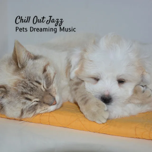 Chill Out Jazz: Pets Dreaming Music