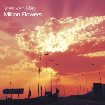 Million Flowers by Joer van Ray