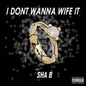 I Don't Wanna Wife IT by Sha B