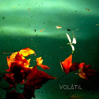 Volátil by Silvina Gómez