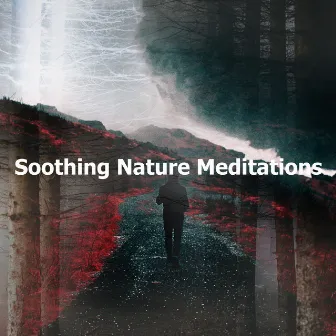 Soothing Nature Meditations by Nature Soundscapes