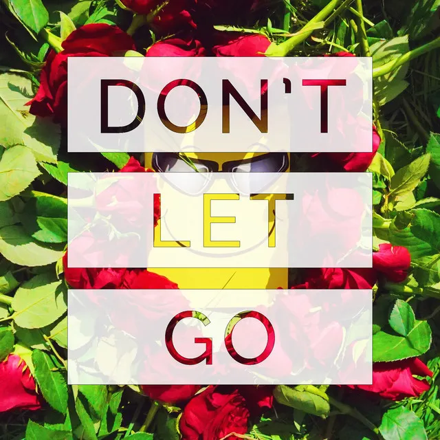 Don't Let Go (feat. Sofie Jørgensen)