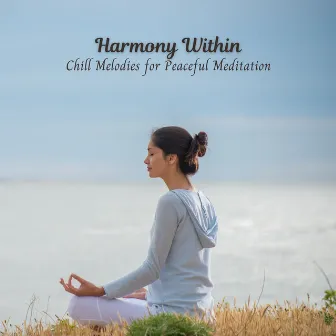 Harmony Within: Chill Melodies for Peaceful Meditation by Unknown Artist