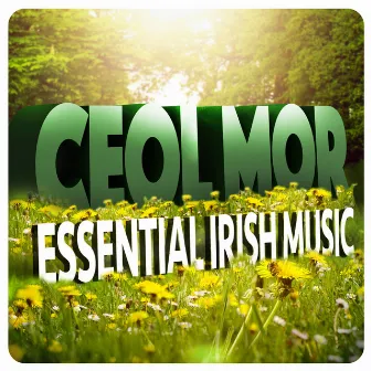 Ceol Mor: Essential Irish Music by Unknown Artist