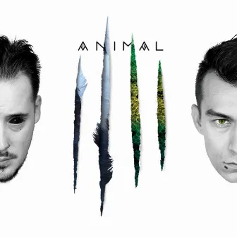 Animal by Nerieš