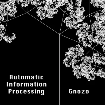 Automatic Information Processing by Gnozo