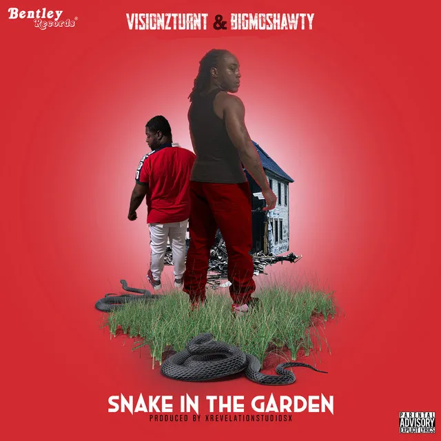 Snake In The Garden